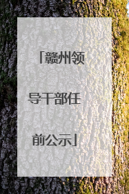 赣州领导干部任前公示