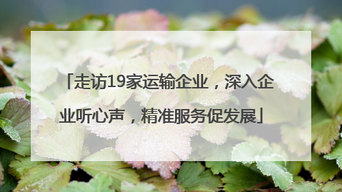 走访19家运输企业，深入企业听心声，精准服务促发展