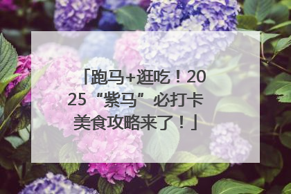 跑马+逛吃！2025“紫马”必打卡美食攻略来了！