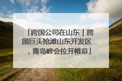 跨国公司在山东｜跨国巨头抢滩山东开发区，青岛峰会拉开帷幕
