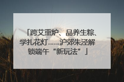 跨艾熏炉、品养生粽、学扎花灯……沪郊朱泾解锁端午“新玩法”