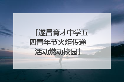 遂昌育才中学五四青年节火炬传递活动燃动校园