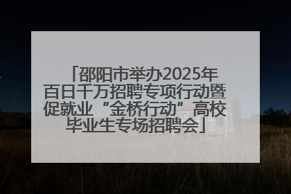 邵阳市举办2025年百日千万招聘专项行动暨促就业“金桥行动”高校毕业生专场招聘会