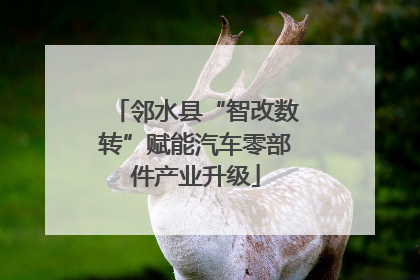 邻水县“智改数转”赋能汽车零部件产业升级