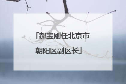 郝宝刚任北京市朝阳区副区长