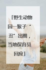 野生动物园一猴子“丑”出圈，当地保育员回应