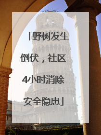 野树发生倒伏，社区4小时消除安全隐患