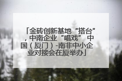 金砖创新基地“搭台”，中南企业“唱戏” 中国（厦门）-南非中小企业对接会在厦举办