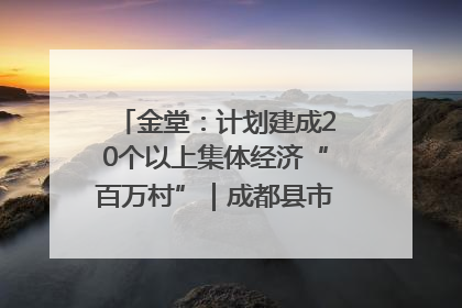 金堂：计划建成20个以上集体经济“百万村”｜成都县市新城高质量发展