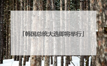 韩国总统大选即将举行
