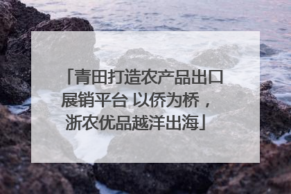 青田打造农产品出口展销平台 以侨为桥，浙农优品越洋出海