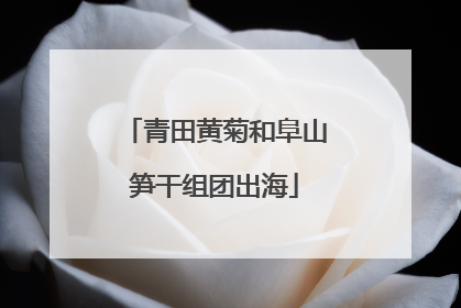 青田黄菊和阜山笋干组团出海