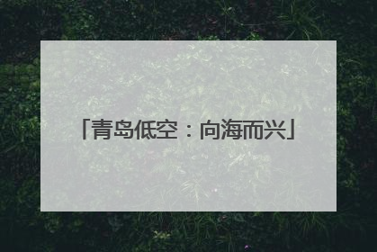 青岛低空：向海而兴