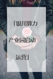 银川算力产业园启动运营