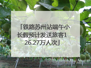 铁路苏州站端午小长假预计发送旅客126.27万人次