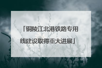 铜陵江北港铁路专用线建设取得重大进展