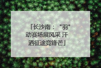 长沙南：“羽”动赛场展风采 汗洒征途竞锋芒