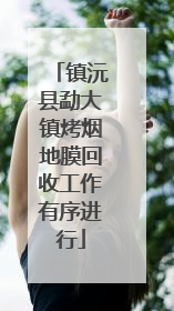 镇沅县勐大镇烤烟地膜回收工作有序进行