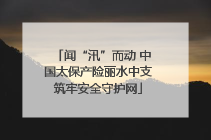 闻“汛”而动 中国太保产险丽水中支筑牢安全守护网