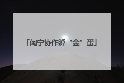 闽宁协作孵“金”蛋