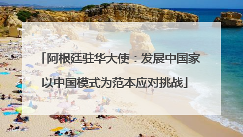 阿根廷驻华大使：发展中国家以中国模式为范本应对挑战