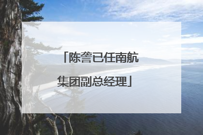 陈詟已任南航集团副总经理