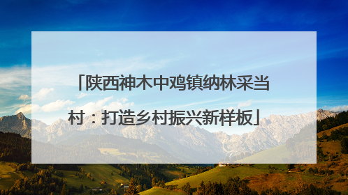 陕西神木中鸡镇纳林采当村：打造乡村振兴新样板