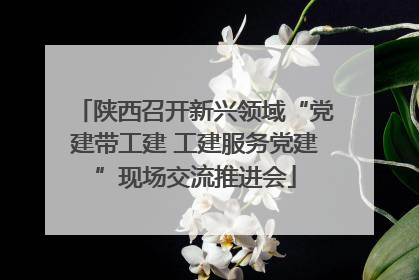 陕西召开新兴领域“党建带工建 工建服务党建”现场交流推进会