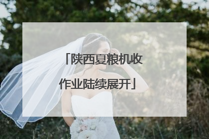陕西夏粮机收作业陆续展开
