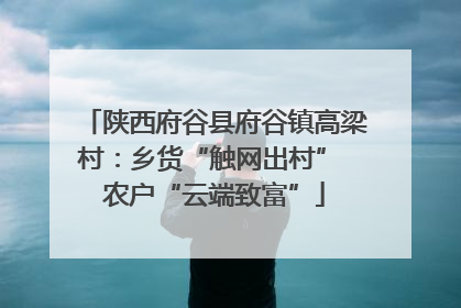 陕西府谷县府谷镇高梁村：乡货“触网出村” 农户“云端致富”
