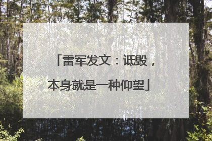 雷军发文：诋毁，本身就是一种仰望