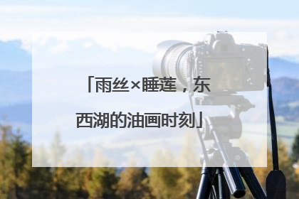 雨丝×睡莲，东西湖的油画时刻