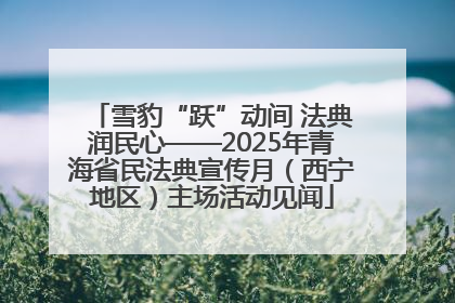 雪豹“跃”动间 法典润民心——2025年青海省民法典宣传月（西宁地区）主场活动见闻