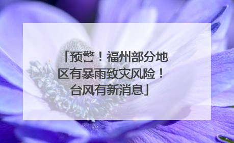 预警！福州部分地区有暴雨致灾风险！台风有新消息