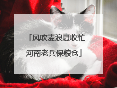 风吹麦浪夏收忙 河南老兵保粮仓