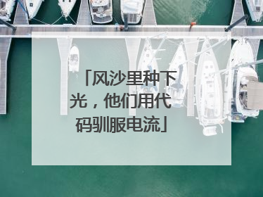 风沙里种下光，他们用代码驯服电流