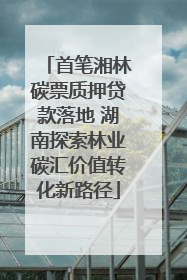 首笔湘林碳票质押贷款落地 湖南探索林业碳汇价值转化新路径