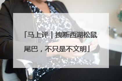 马上评｜拽断西湖松鼠尾巴，不只是不文明