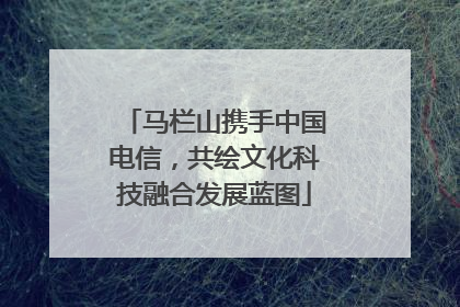 马栏山携手中国电信，共绘文化科技融合发展蓝图