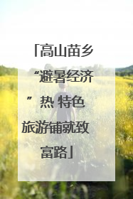 高山苗乡“避暑经济”热 特色旅游铺就致富路