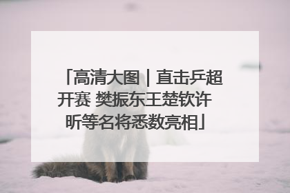 高清大图｜直击乒超开赛 樊振东王楚钦许昕等名将悉数亮相