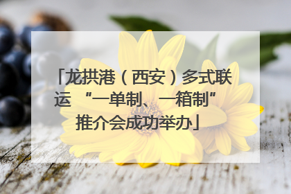 龙拱港（西安）多式联运 “一单制、一箱制” 推介会成功举办