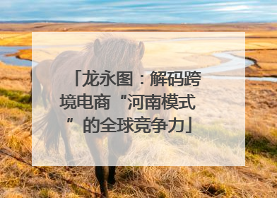 龙永图：解码跨境电商“河南模式”的全球竞争力