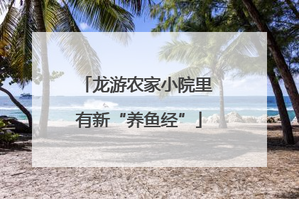 龙游农家小院里有新“养鱼经”