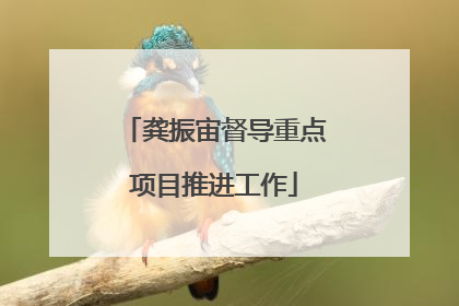 龚振宙督导重点项目推进工作