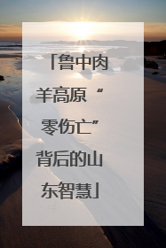 鲁中肉羊高原“零伤亡”背后的山东智慧