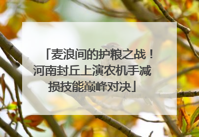麦浪间的护粮之战！河南封丘上演农机手减损技能巅峰对决