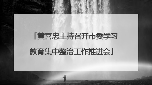 黄喜忠主持召开市委学习教育集中整治工作推进会