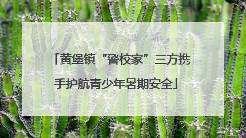 黄堡镇“警校家”三方携手护航青少年暑期安全