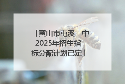 黄山市屯溪一中2025年招生指标分配计划已定